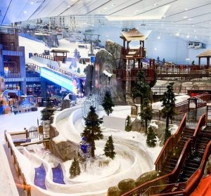 Билеты на Ski Dubai (Горнолыжный Парк) в Дубае в 2024 году.