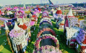 Билеты на Сад Чудес в Дубае (Dubai Miracle Garden) в 2024 году.