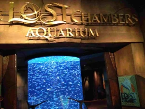 Билеты на аквапарк Atlantis Aquaventure (Атлантис Аквавенчер) и аквариум Lost Chambers в Дубае в 2024 году.