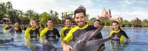Dolphin Bay в отеле Atlantis The Palm в Дубае. Купить онлайн билеты в 2024 году.