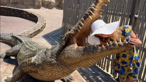 Парк крокодилов Dubai Crocodile Park.