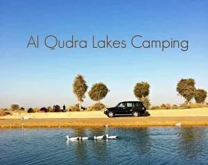Озера Al Qudra в Дубае.