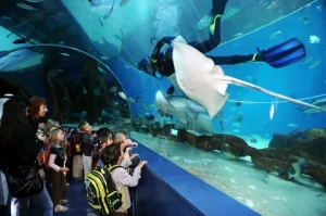 Аквариум в Шардже (Sharjah Aquarium) ОАЭ.